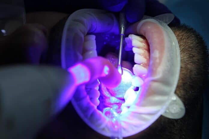 Nerovet AI Dentistry
